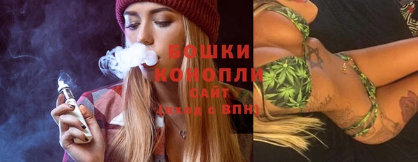 сатива Долгопрудный