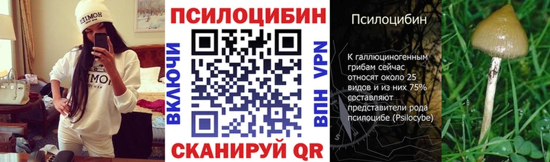 Галлюциногенные грибы GOLDEN TEACHER  Купить закладки  Талица 